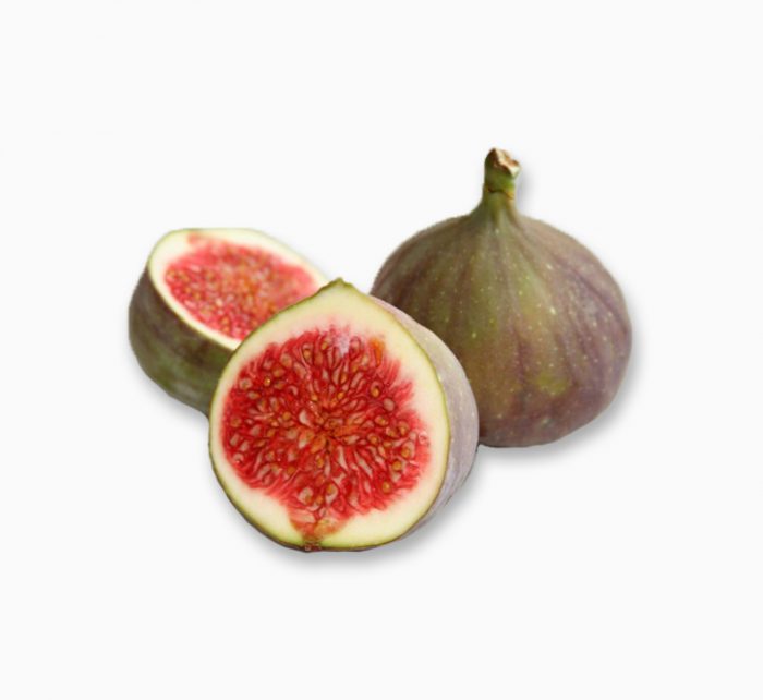 Ficus carica “Fig Tree” شجرة التين