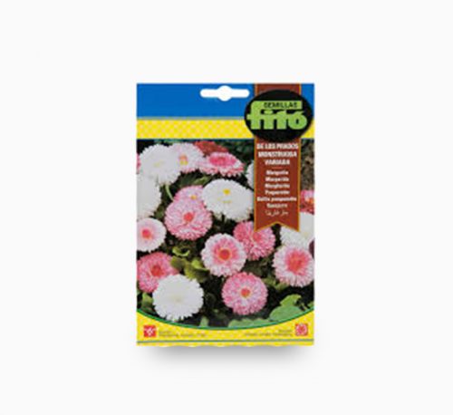 ‘Pomponette Mix’ Flower Seeds -50mg