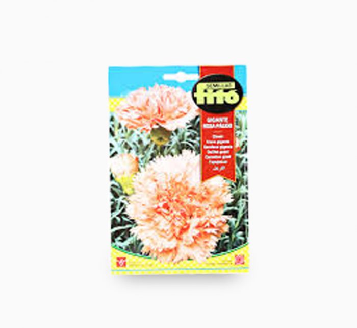Carnation Giant Pink 800mg – Fito