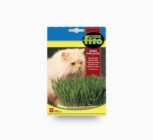 Semilla Fito Grass for Cat Seeds