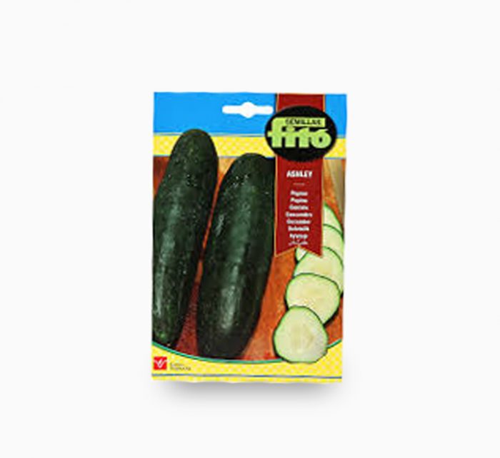 Semillas Fito Cucumber Ashley 10g – Fito