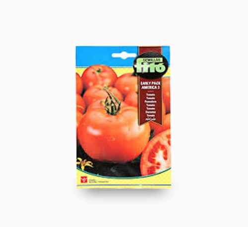 Tomato Early Pack America 3 3g