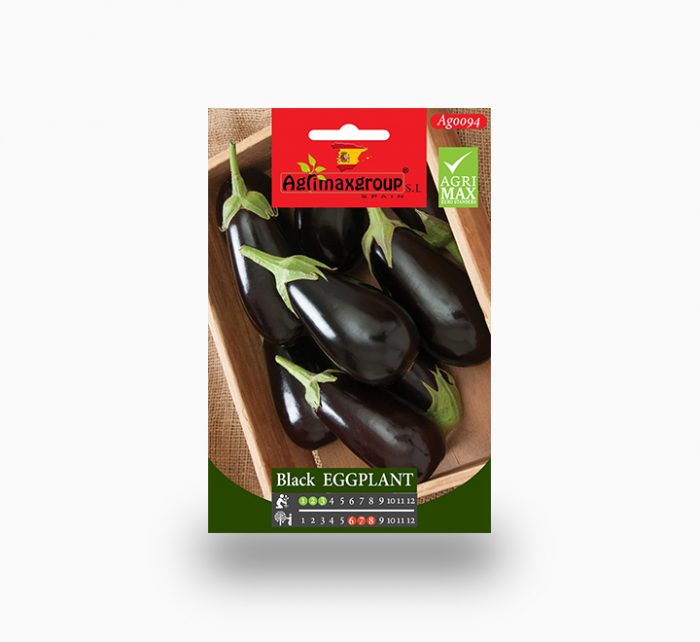 Black Eggplant Agrimax Seeds