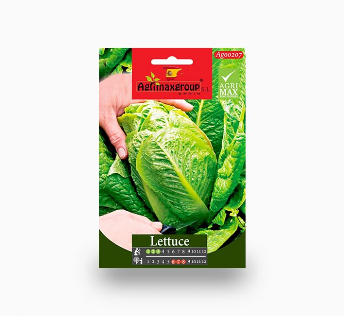 Lettuce Agrimax Seeds