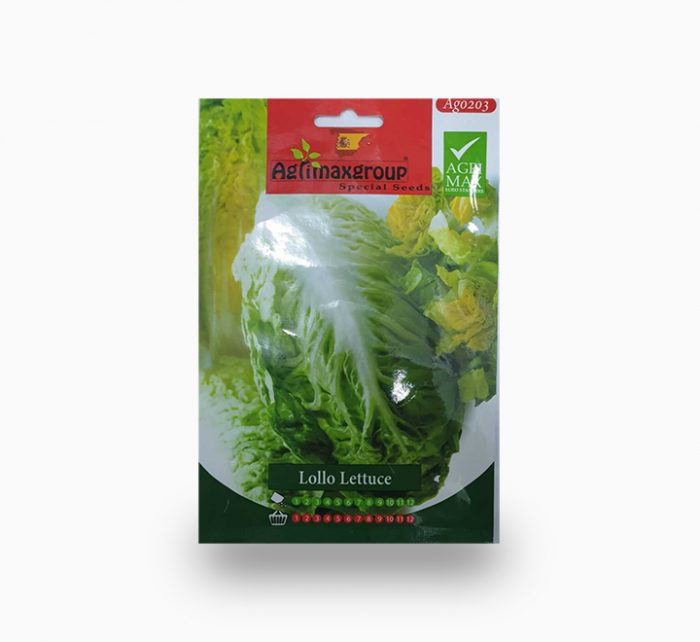 Lollo Lettuce Agrimax Seeds