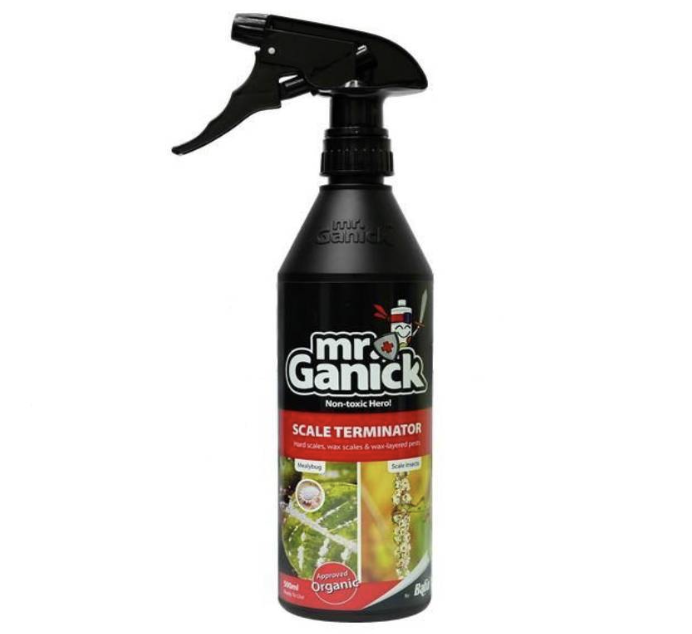 Organic Mealybug and Scale Terminator Spray "Mr. Ganick" Green Souq