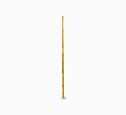 Bamboo pole 3m Length