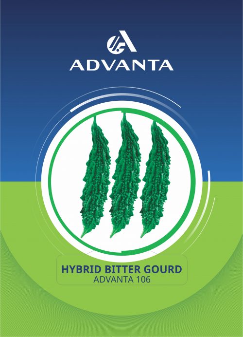Advanta 106 Hybrid Bitter Gourd