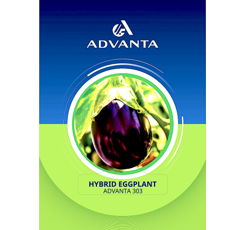 Advanta 303 Hybrid Eggplant Seeds