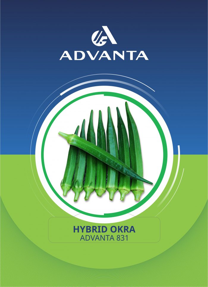 Advanta 831 Hybrid Okra
