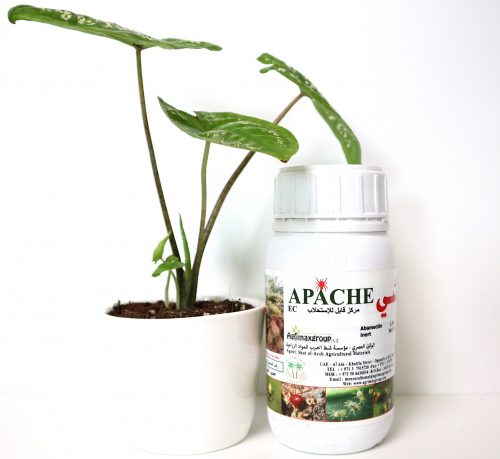 Apache 1.8% EC "Acaricide & Insecticide" Green Souq