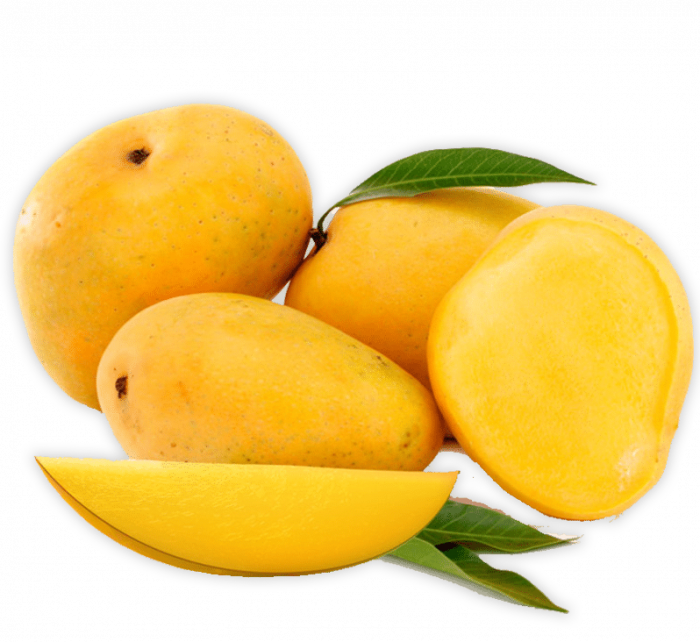 Mango Plant Chaunsa Pakistan's Delicious Small Mangoes Green Souq
