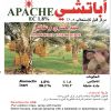 Apache 1.8% EC "Acaricide & Insecticide" Green Souq