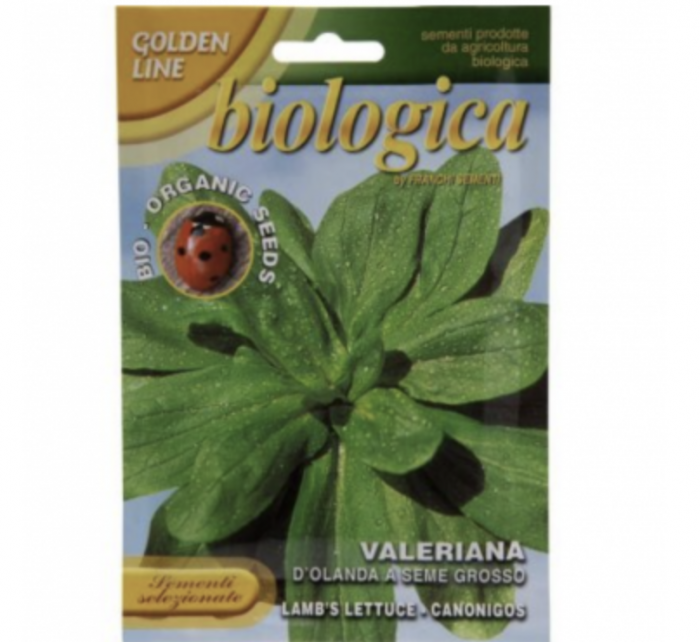 Lettuce "Valeriana D’Olanda A Seme Grosso" Organic Seeds Green Souq