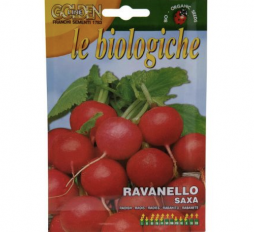 Radish "Ravanello Saxa" Organic Seeds by Franchi Green Souq