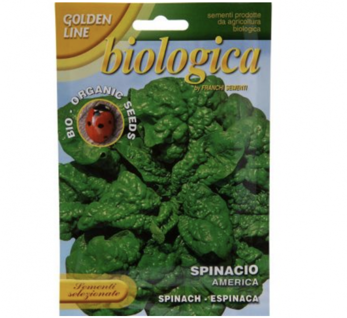 Spinach "Spinacio America" Organic Seeds by Franchi Green Souq