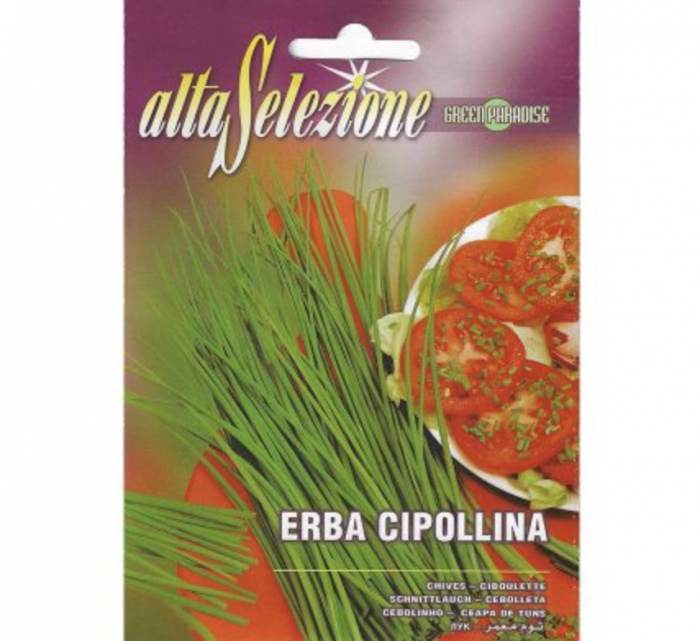 Chives "Erba Cipollina" Premium Quality Seeds by Alta Selezione Green Souq