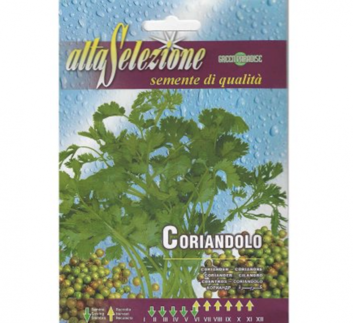 Coriander "Coriandolo" Premium Quality Seeds by Alta Selezione Green Souq