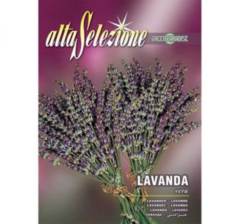 Lavender "Lavanda Vera" Premium Quality Seeds by Alta Selezione Green Souq