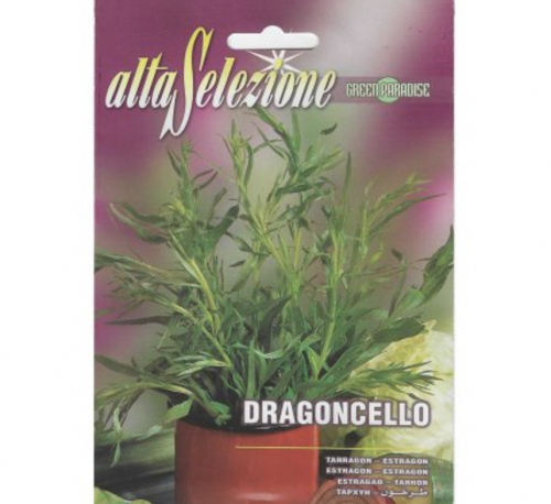 Tarragon "Dragoncello" Premium Quality Seeds by Alta Selezione Green Souq