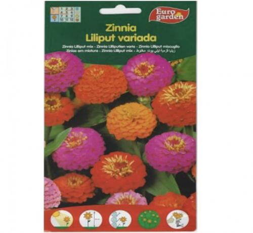 Zinnia Lilliput Mix Premium Quality Seeds by EuroGarden Green Souq
