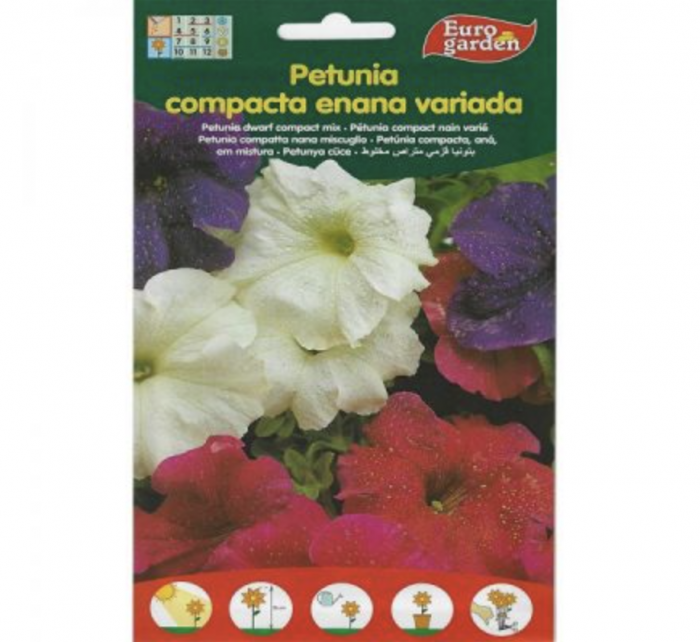 Petunia Dwarf Compact Mix Premium Quality Seeds by EuroGarden Green Souq