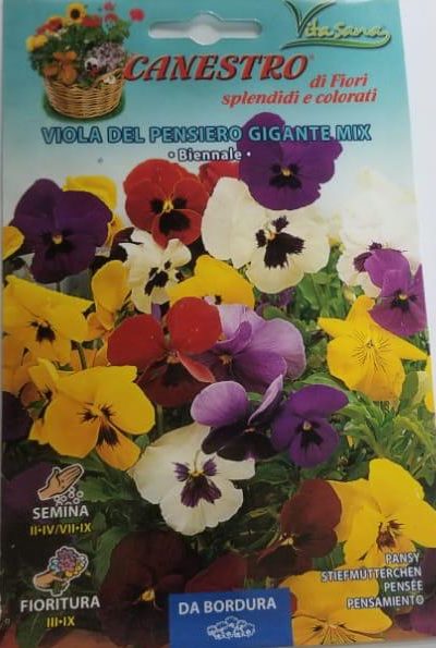 Viola Del Pensiero Gigante Mix Seeds by CANESTRO Green Souq