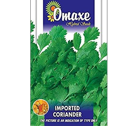 Coriander Imported Hybrid Seeds by Omaxe Green Souq