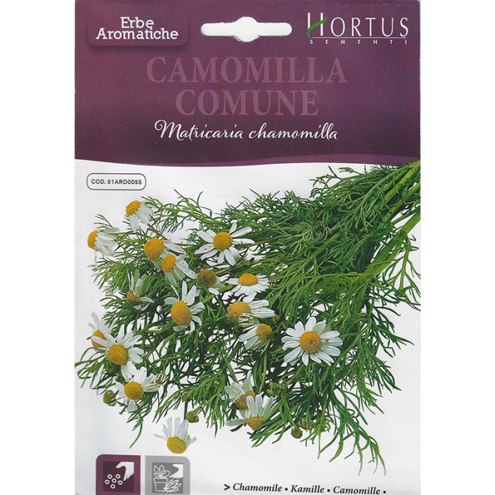 Chamomile "Camomilla Comune" Premium Quality Seeds by Hortus Sementi Green Souq