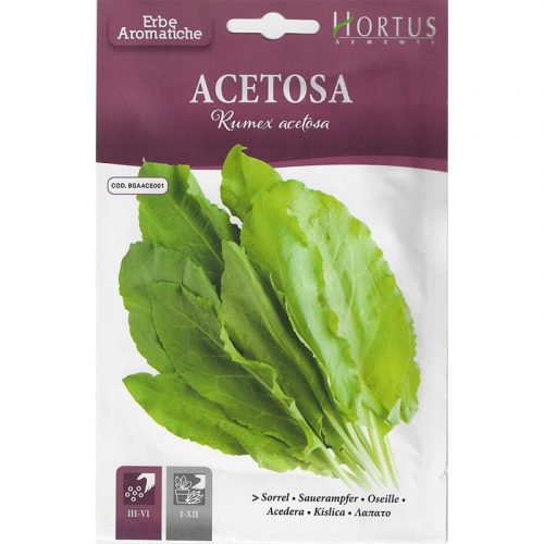 Sorrel "Acetosa" Seeds by Hortus Green Souq