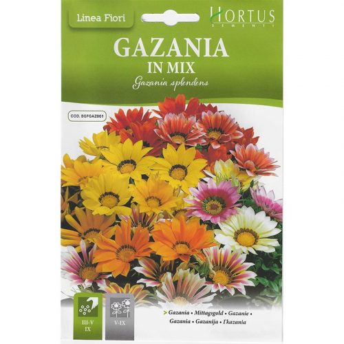 Gazania Mix "Gazania In Mix" Premium Quality Seeds by Hortus Green Souq