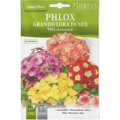 Phlox Mix "Phlox Grandiflora In Mix" Premium Quality Seeds by Hortus Sementi Green Souq