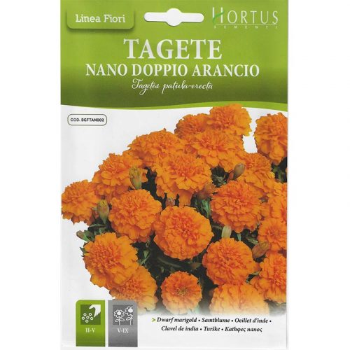 Dwarf Marigold "Tagete Nano Doppio Arancio" Premium Quality Seeds by Hortus Green Souq