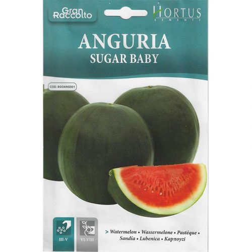 Watermelon "Anguria Sugar Baby" Seeds by Hortus Green Souq