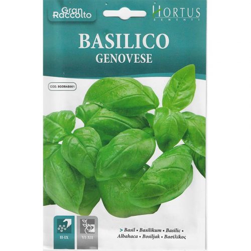 Basil "Basilico Genovese" Seeds by Hortus Green Souq