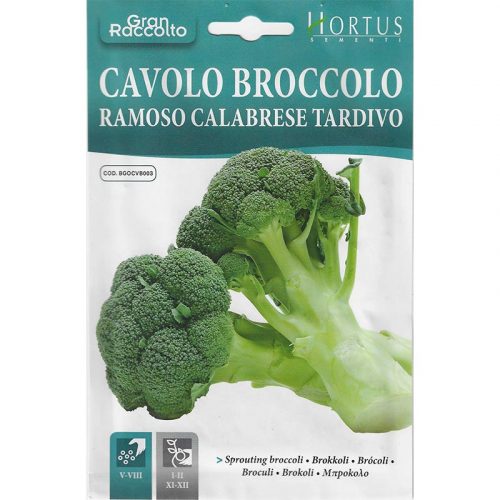 Broccoli "Cavolo Broccolo Ramoso Calabrese Tardivo" Seeds by Hortus Green Souq