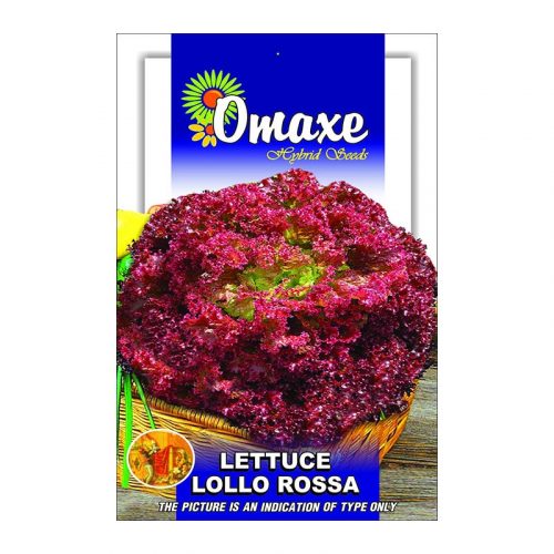 Lettuce "Lollo Rossa" Hybrid Seeds by Omaxe Green Souq