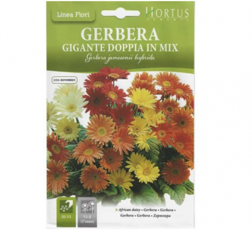 African Daisy "Gerbera Gigante Doppia In Mix" Premium Quality Seeds by Hortus Sementi Green Souq