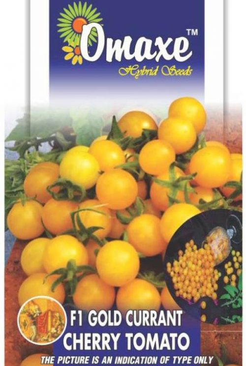 F1 Gold Currant Cherry Tomato Hybrid Seeds by Omaxe