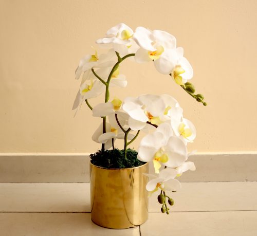 Artificial White Orchids Green souq