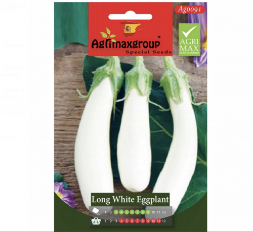 Long white Eggplant Greensouq