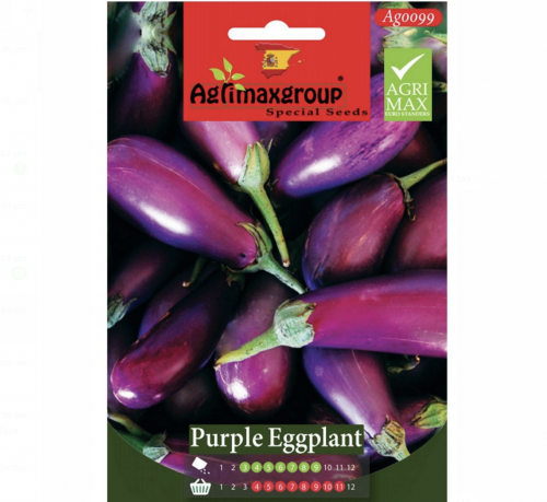Purple Eggplant Agrimax Seeds Greensouq