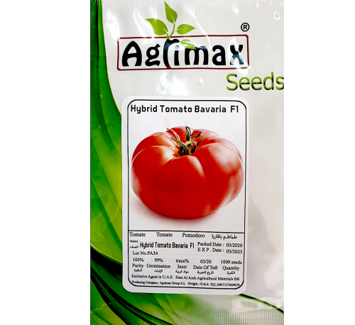 Hybrid Tomato Greensouq