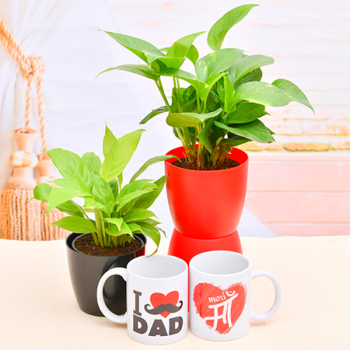 Set of 2 Express your lover to mom dad